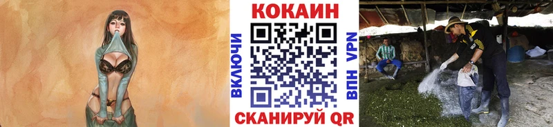 Купить  Черепаново  COCAIN Колумбийский 