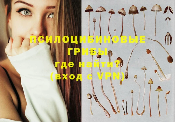 jwh Великий Новгород